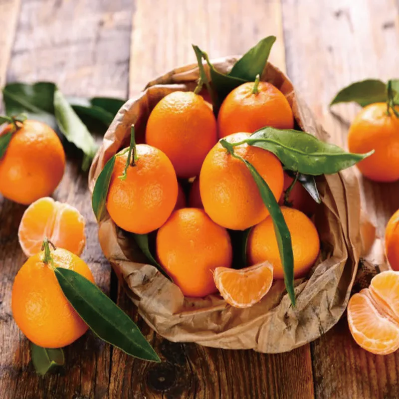 Red Tangerine Seeds-Sweet, Juicy, Abundant Harvests - Image 7
