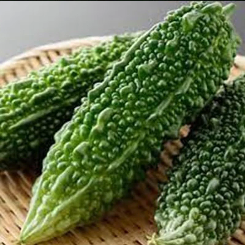 Bittergourd Vegetable Seeds - Image 3