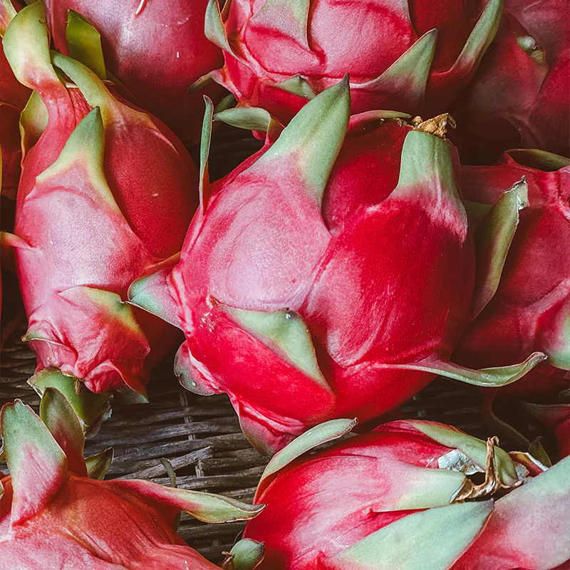Dragon Fruit Seeds - Image 4