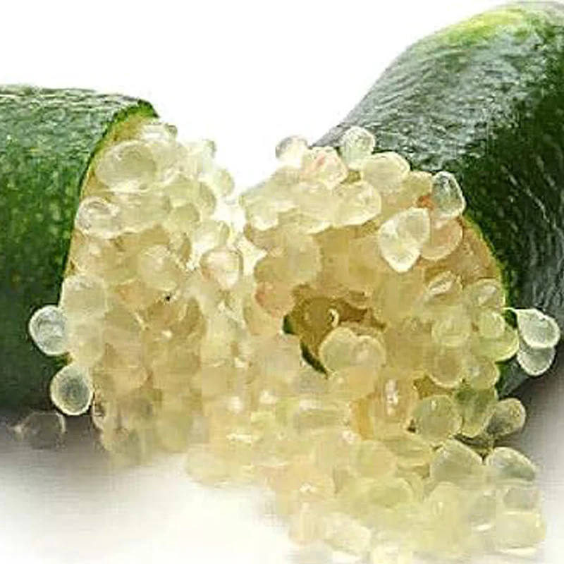 Finger Lime Seeds Non-GMO Low Maintenance  Garden Plant Fruit Seeds - Image 4