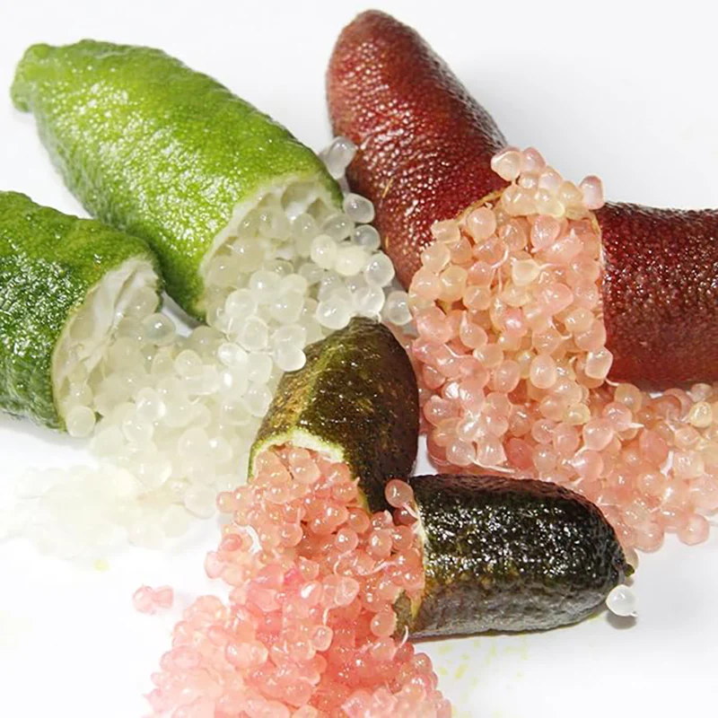 Finger Lime Seeds Non-GMO Low Maintenance  Garden Plant Fruit Seeds - Image 6