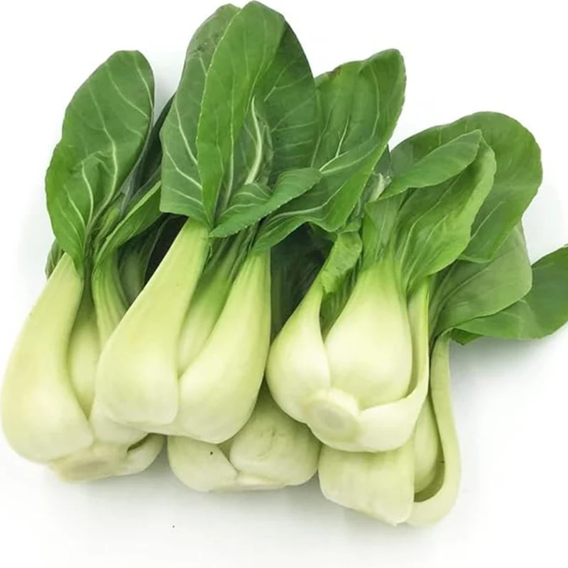 Bok Choy Seeds for Planting Cải Thìa AKA. Pak Choi, Chinese Cabbage, Bok Choi - Image 2