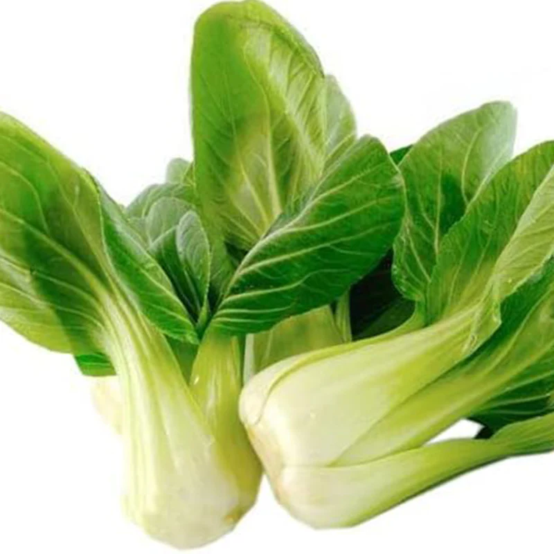 Bok Choy Seeds for Planting Cải Thìa AKA. Pak Choi, Chinese Cabbage, Bok Choi - Image 4