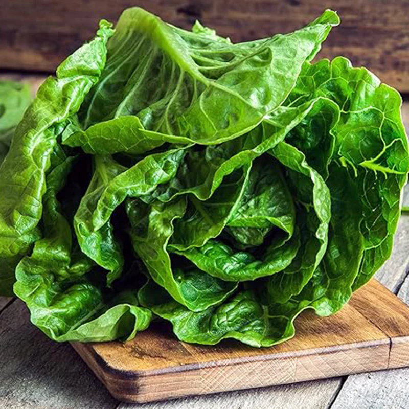 Parris Island Cos Romaine Lettuce Seeds Premium Vegetable Seeds - Image 3