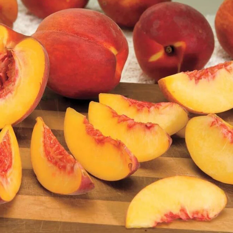 Nemaguard Peach Fruit Tree Seeds for Planting Outdoor- Perennial Fruit Seeds Tasty Sweet Great Home Garden Gift - Image 3