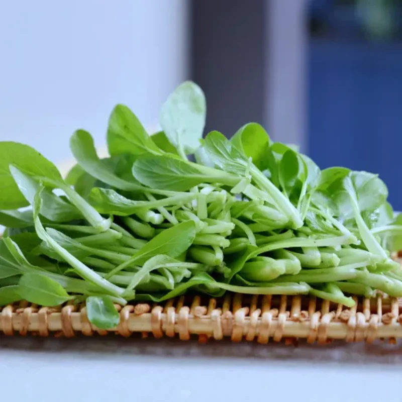 All Year Round Chicken Feather Vegetable Seeds - Image 4