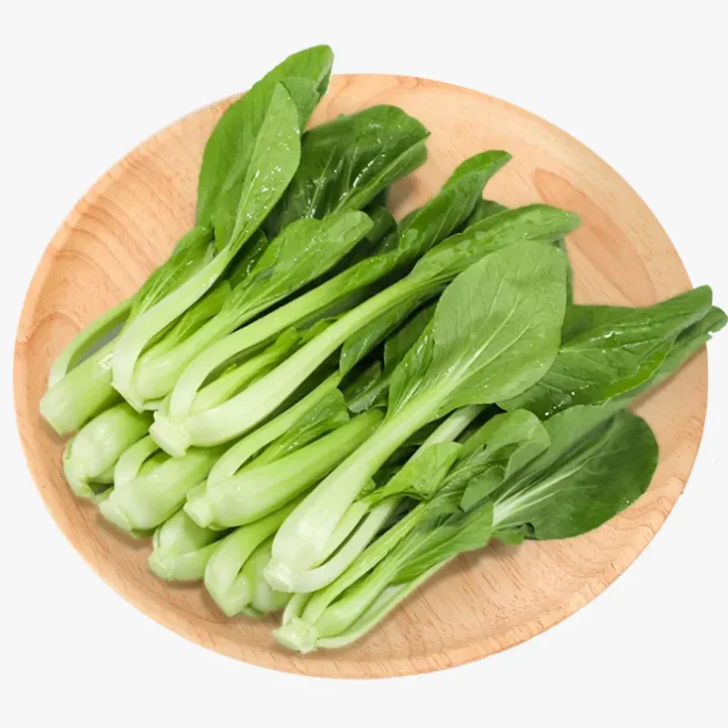 All Year Round Chicken Feather Vegetable Seeds - Image 7