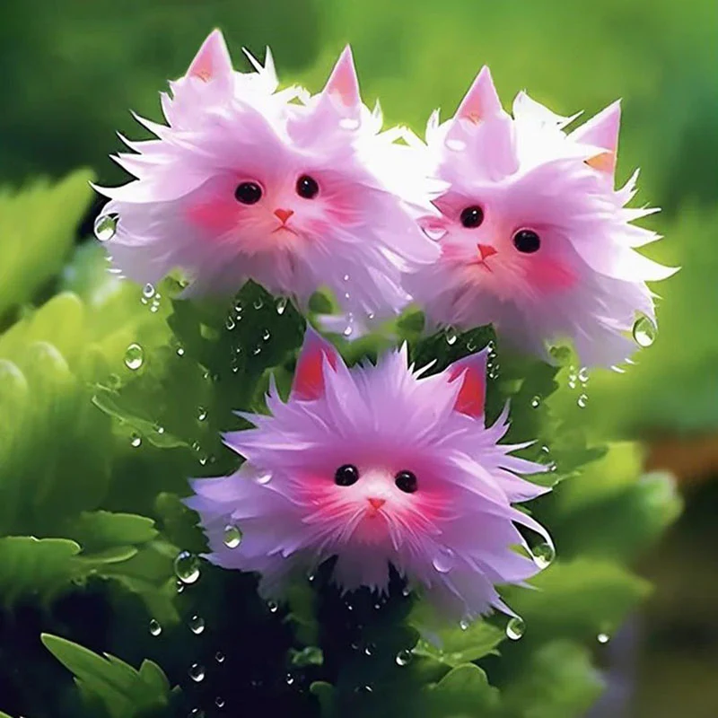 🔥Amazing Plants! 🌈🐱Cat's eye dazzle×Pink long ears cat - Image 3