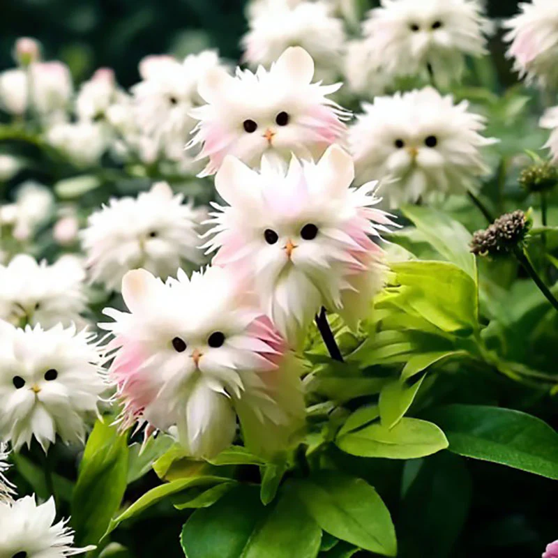🔥Amazing Plants! 🌈🐱Cat's eye dazzle×Pink long ears cat - Image 4