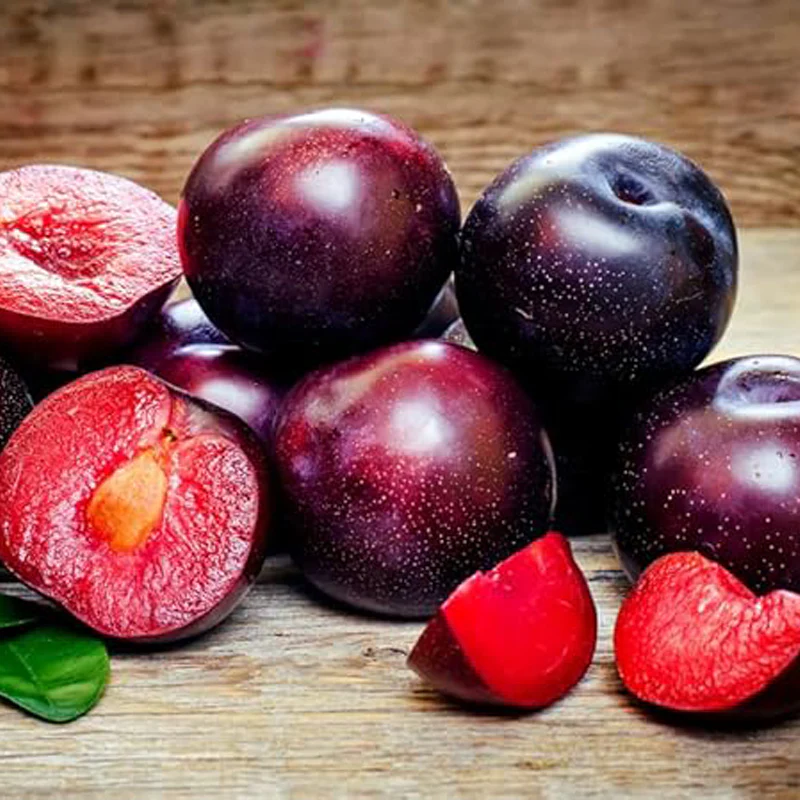 American Red Plum Tree Seeds for Planting Great Home Garden Gift - Image 4