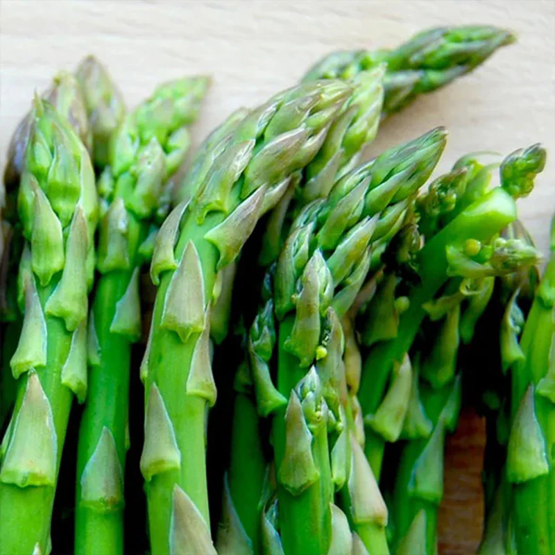 Asparagus Crowns Millennium - Image 2