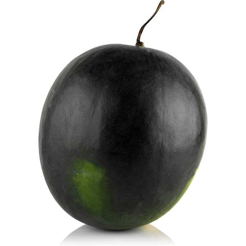 Black Diamond Watermelon Seeds for Planting - Image 3