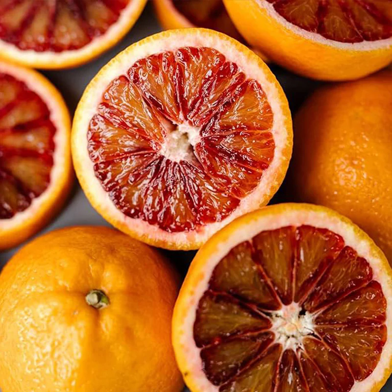 Blood orange tree seeds fast growing juicy non-GMO suitable for patio - Image 3