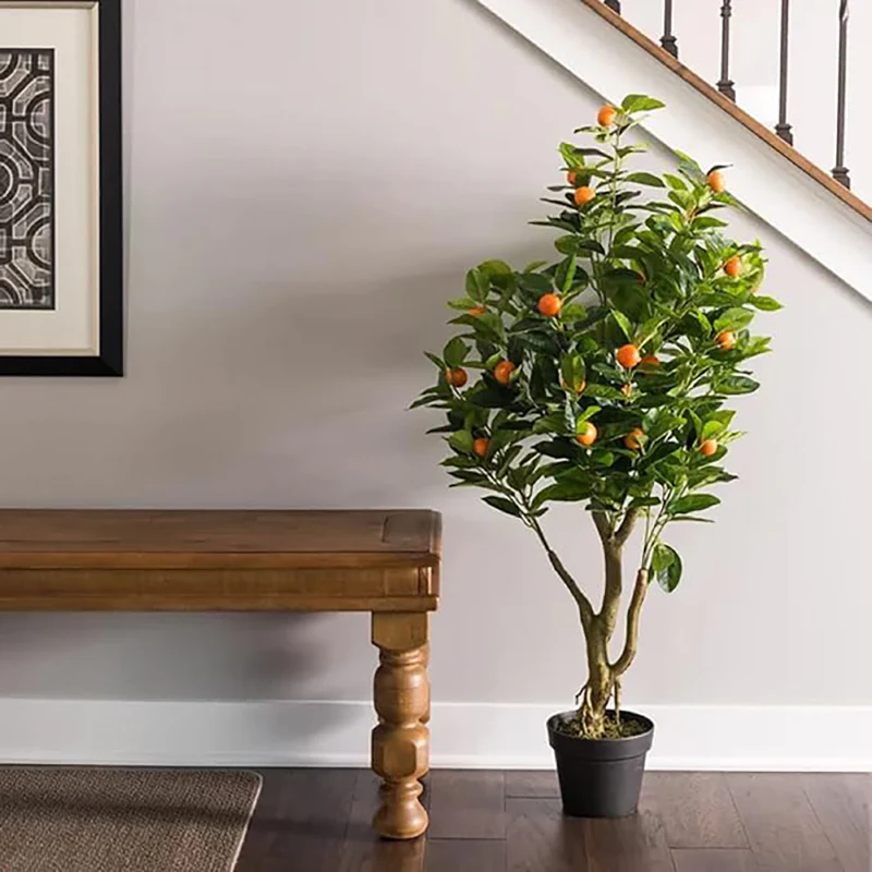 Bonsai Orange Tree Seed Delicious Sweet Fruit Juicy Beautiful Potted Plants Robust Flavor Easy Care - Image 5