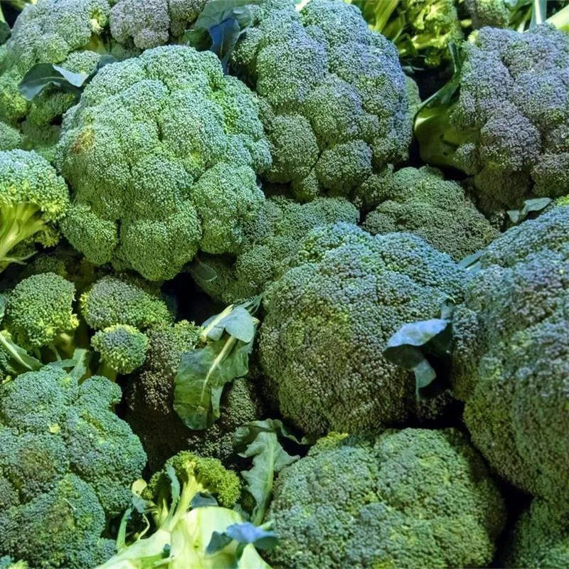 Broccoli Emerald Crown F1 - Image 6