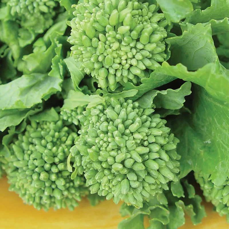 Broccoli Raab, Rapini Organic - Image 2