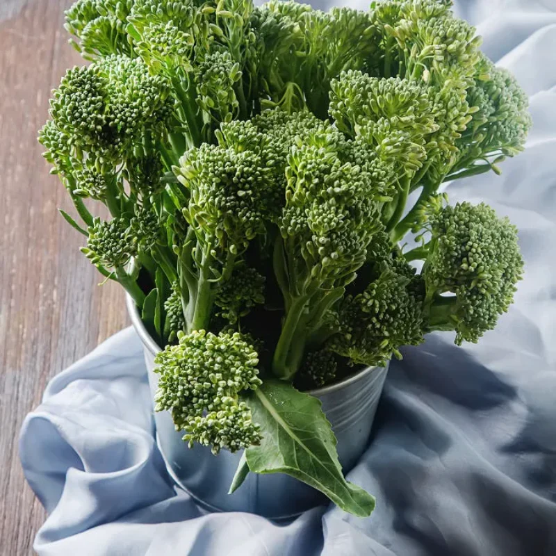 Broccoli Seeds (Organic) - Aspabroc F1 - Image 3