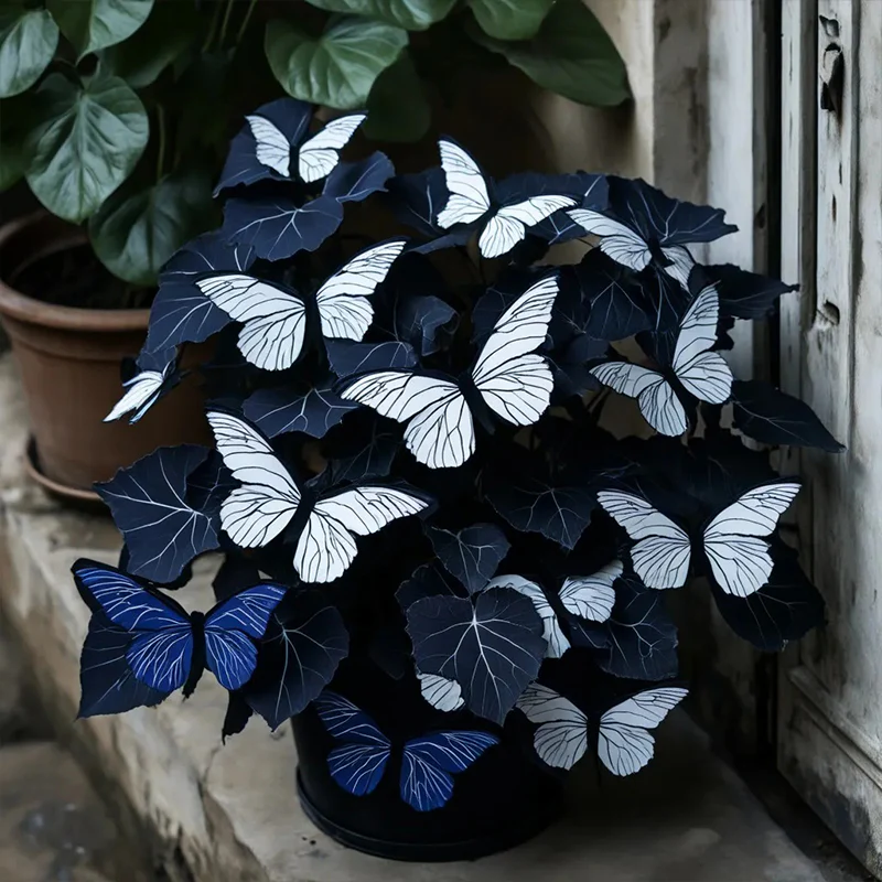 Butterfly Begonia: Unleash Whimsy in Your Garden! - Image 20