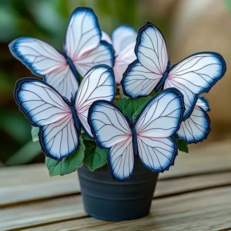 Butterfly Begonia: Unleash Whimsy in Your Garden! - Image 7