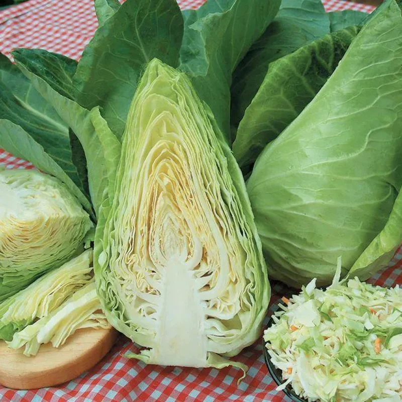 Cabbage Caraflex F1 Organic - Image 2
