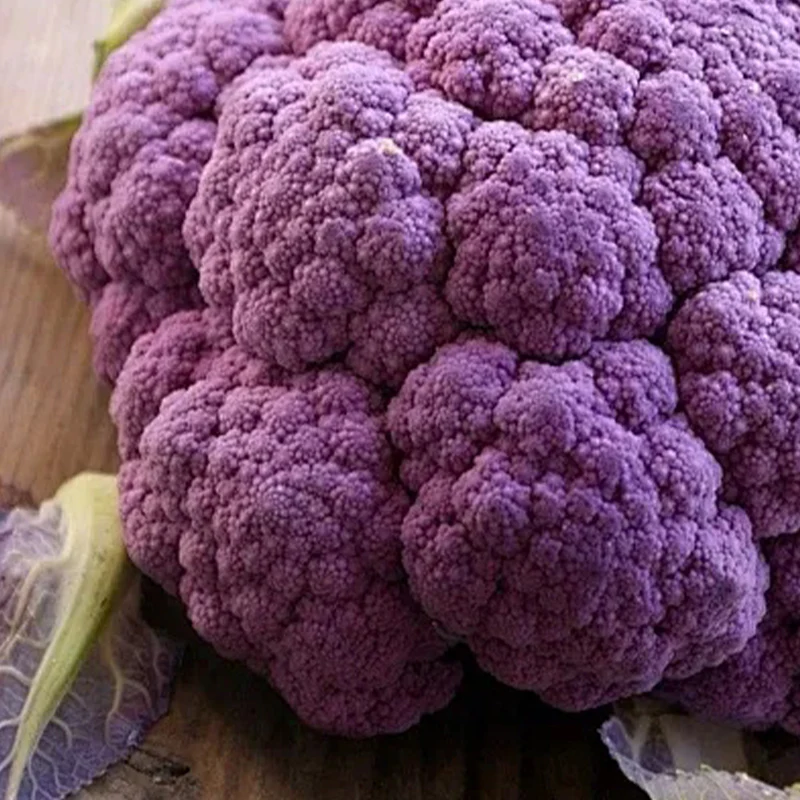 Cauliflower Graffiti F1 - Image 2