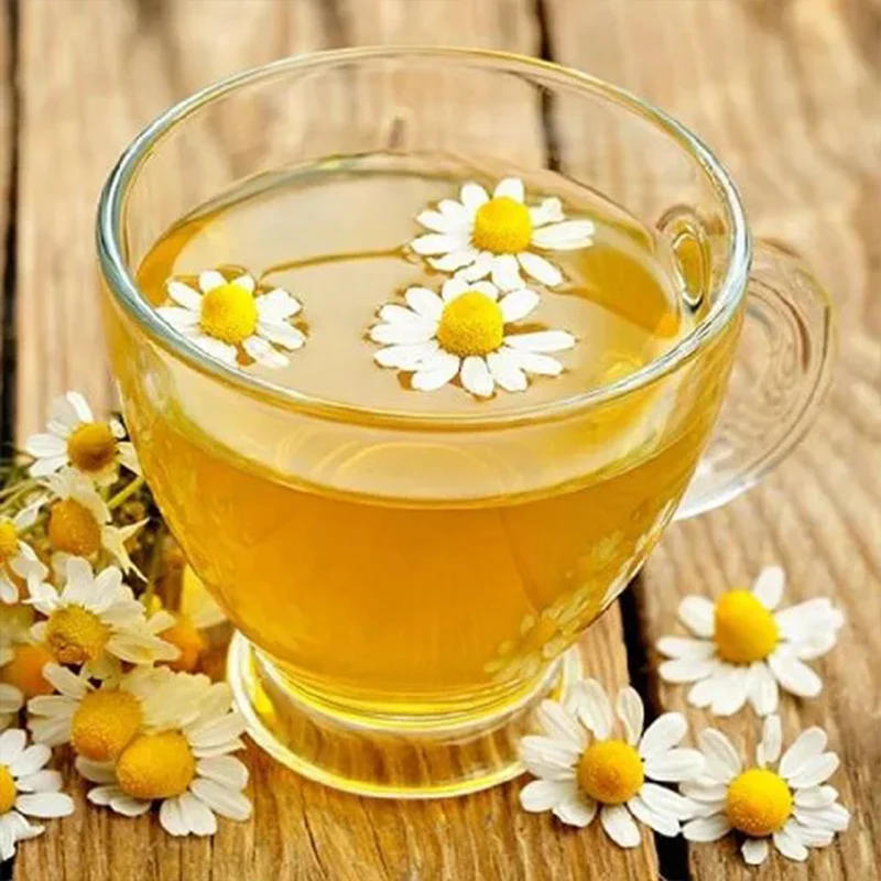 Chamomile Seeds Roman - Image 2