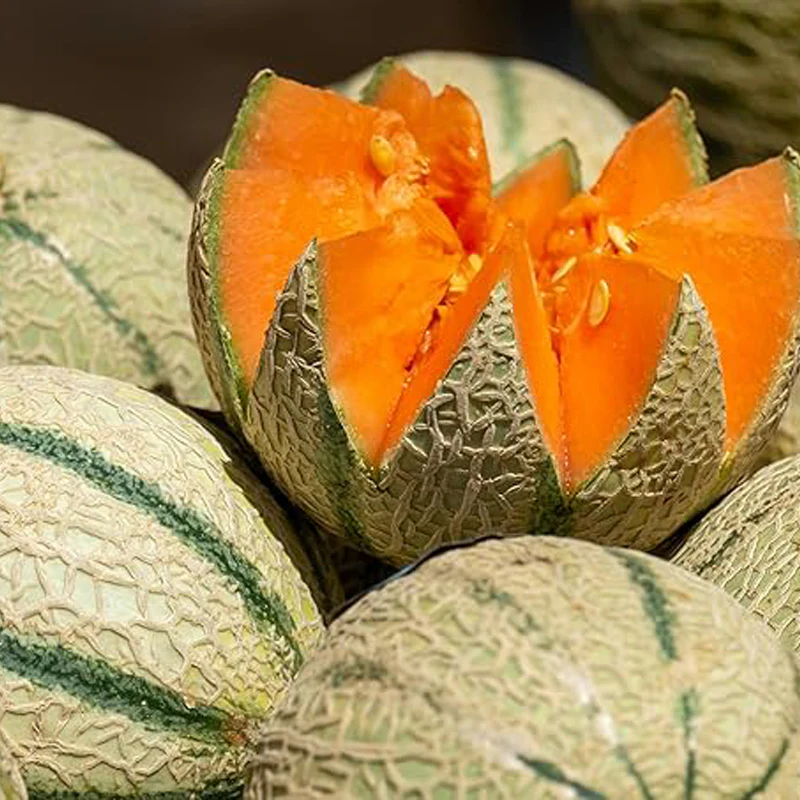 “Charentais” Melon Seeds Rare French Heirloom Melon Harvest Always Open-Pollinated