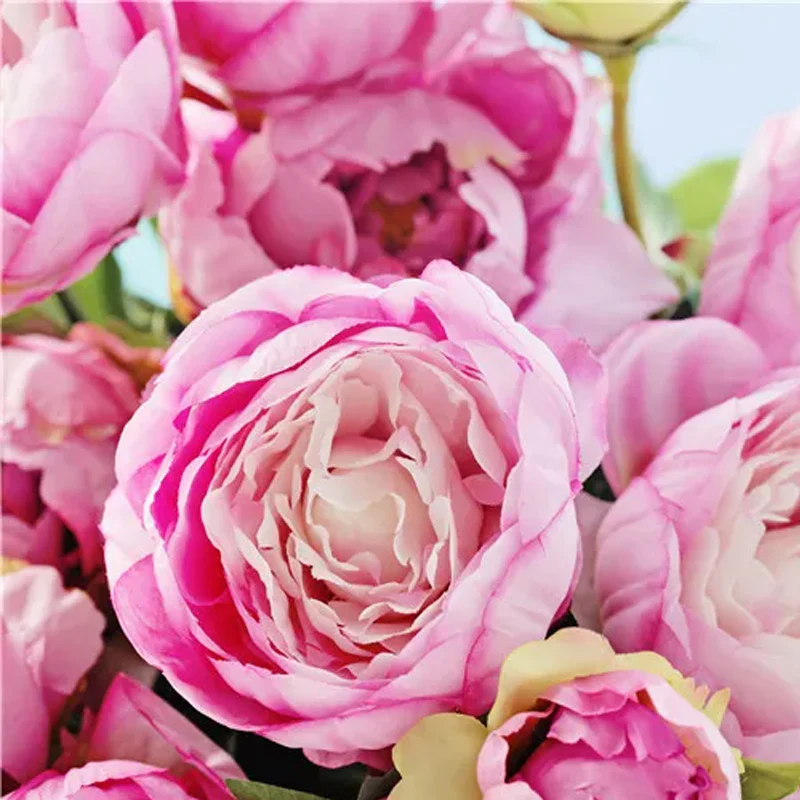 Colorful Peony Flower - Image 4