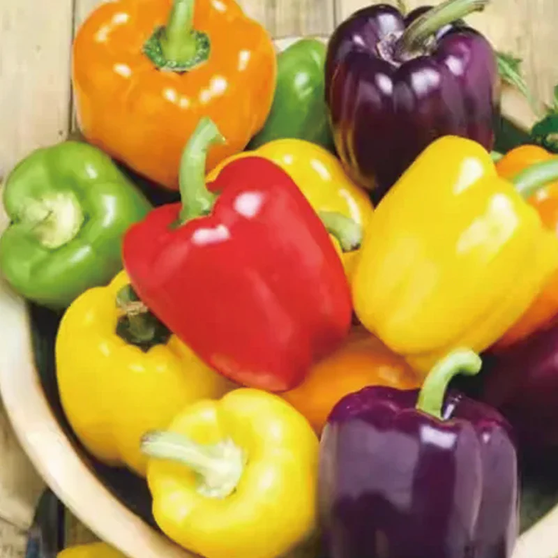 Colorful Sweet Pepper Seeds Organic - Image 8