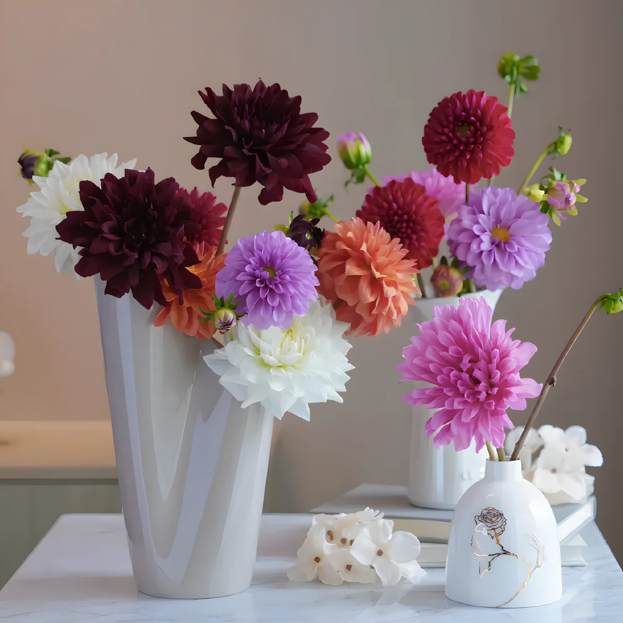 Dahlia Double Blend Rainbow Seeds - Image 5