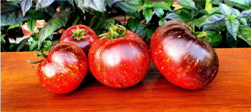 Dark Galaxy Tomato Seeds - Image 2