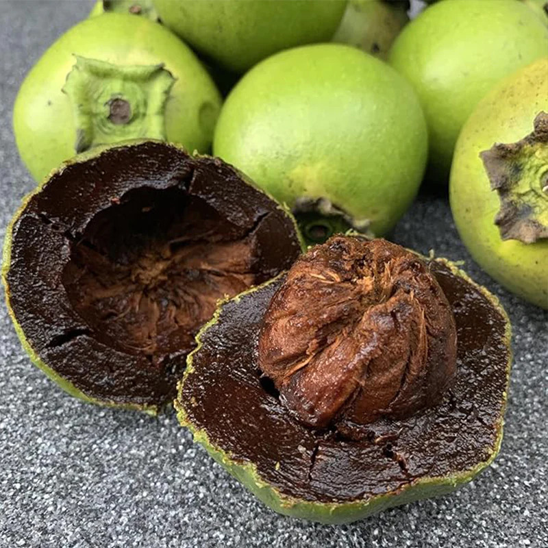 Diospyros Digyna Seeds Black Sapote - Image 2