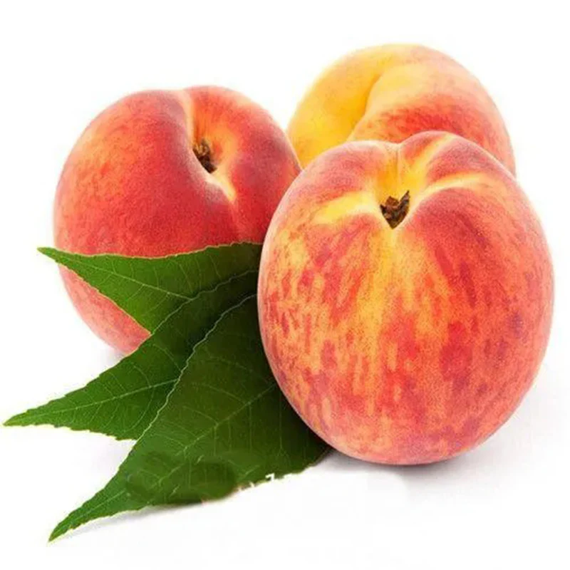 Elberta Peach tree seeds - Image 2