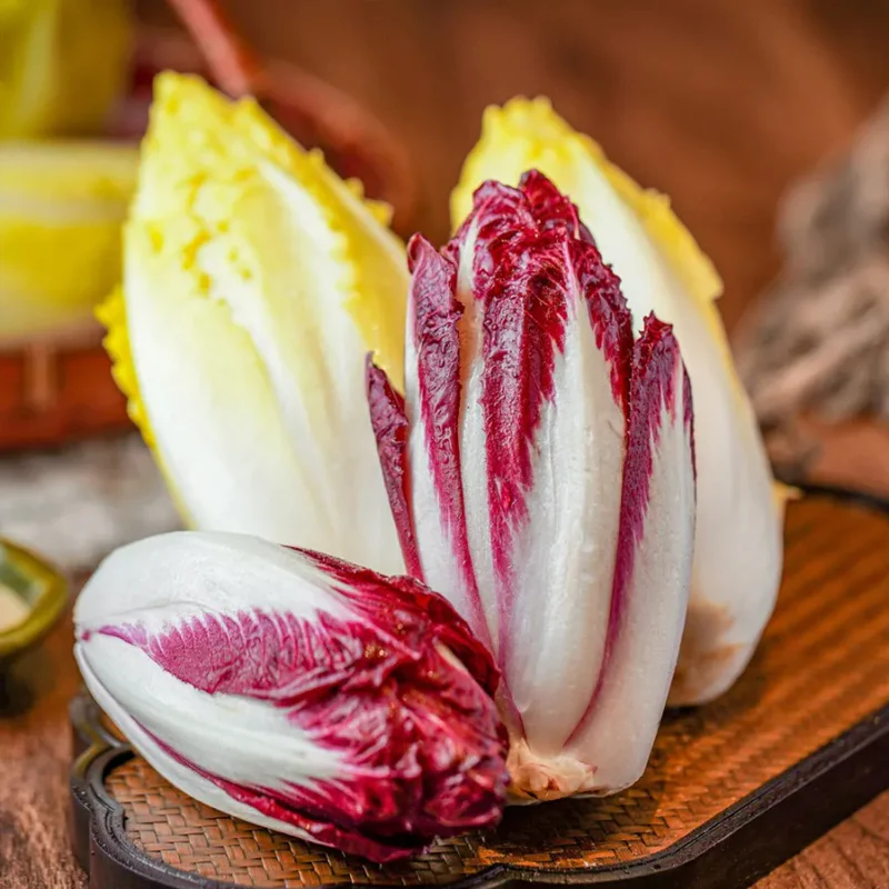 European Chicory Seeds - Image 4