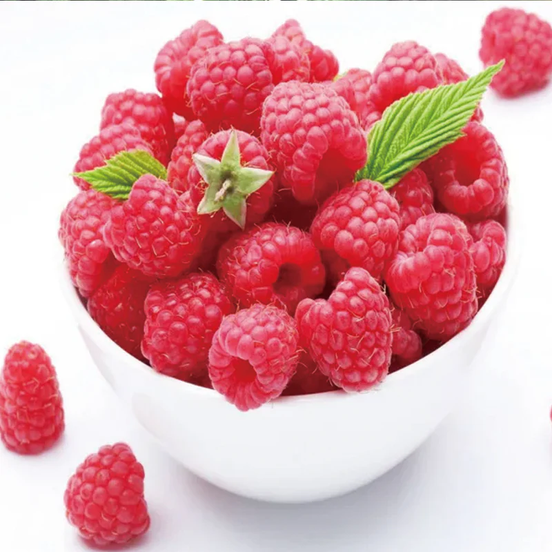 Everbearing Raspberry Organic Natural Seeds - Image 3