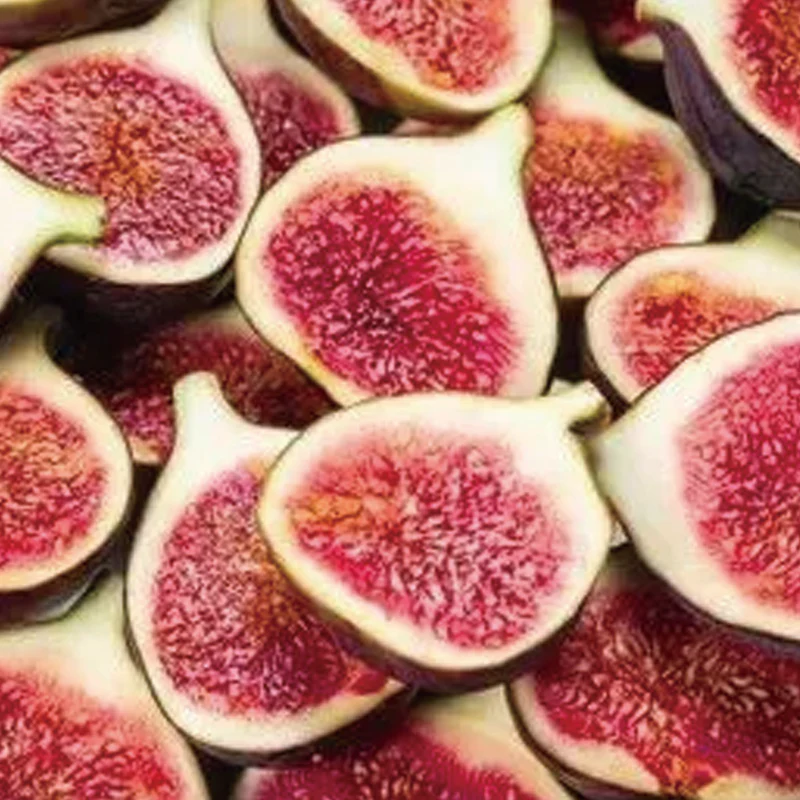 Fig Tree Seeds (Ficus carica), Sweet Fruit Shrub - Image 9