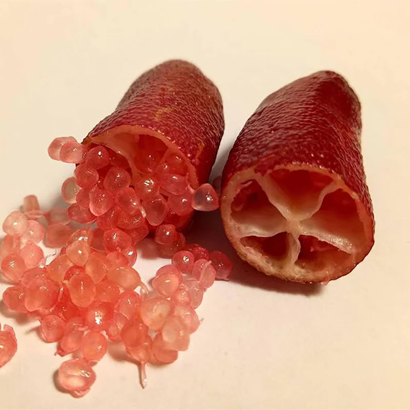 Finger Lime Seeds Citrus Australasica Caviar Lime Garden Outdoor - Image 2
