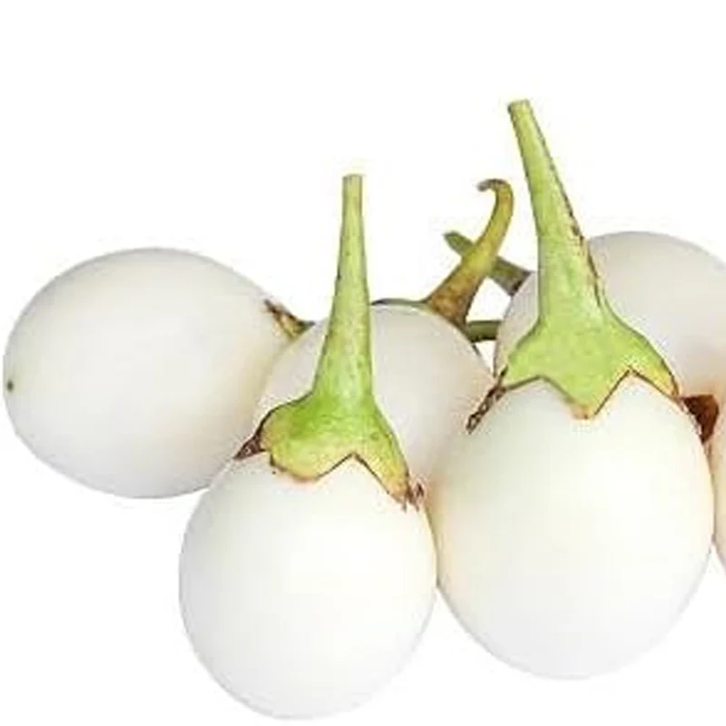 Fresh Eggplant Vegetable Seeds - Image 3