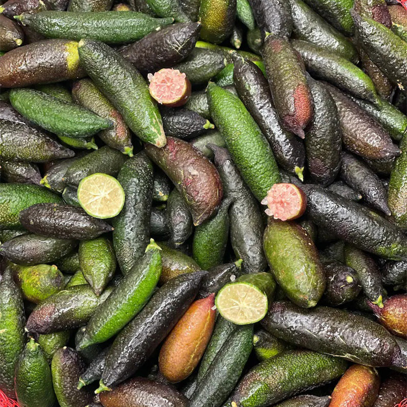 FRESH Caviar Limes (Finger Limes) RARE FRUIT- California Grown - Image 2