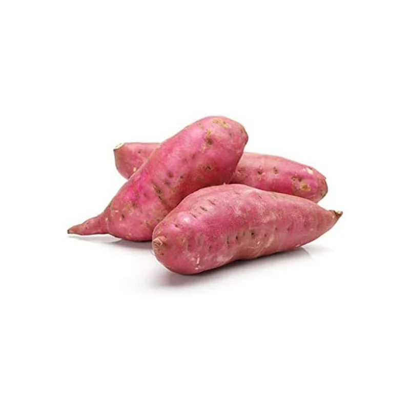 Fresh Sweet Potato Vegetable Seeds