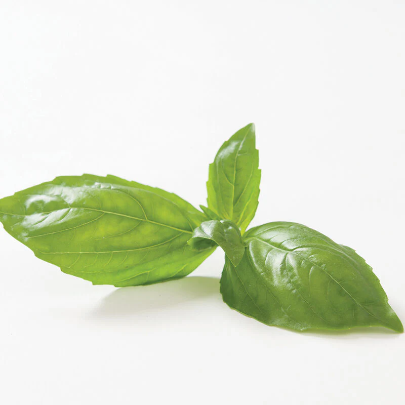 Genovese Basil Seed - Image 5