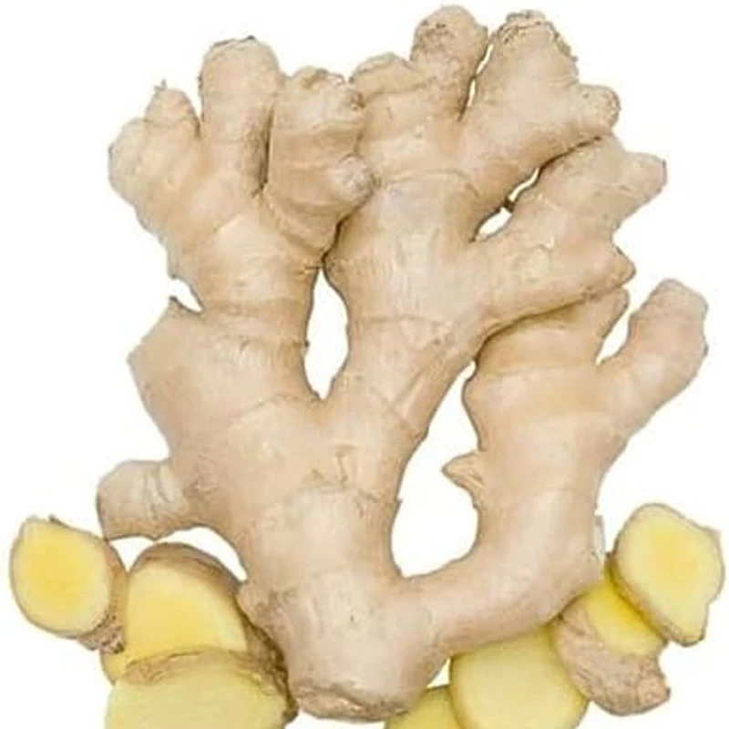 Ginger Vegetable Seeds - Image 3