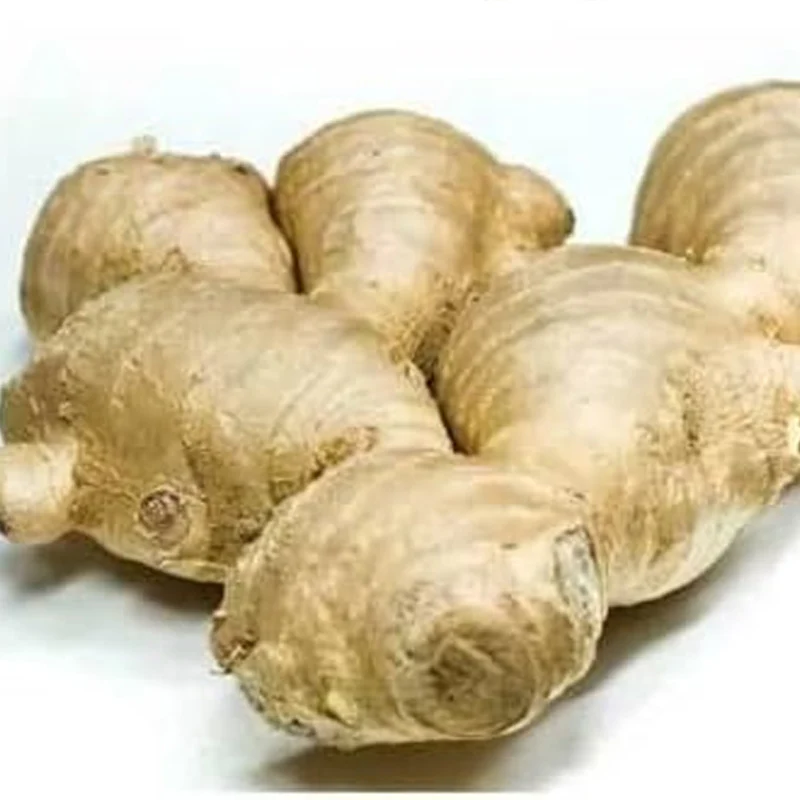 Ginger Vegetable Seeds - Image 4