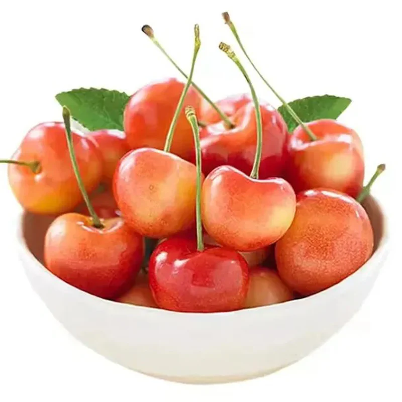 Golden Cherry Seeds - Image 11