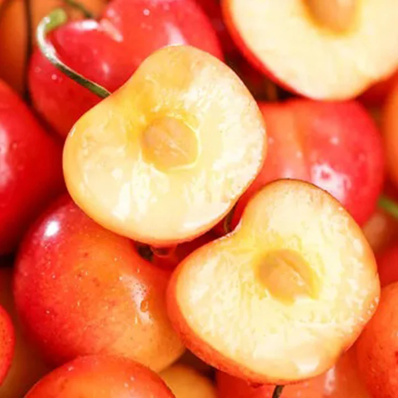 Golden Cherry Seeds - Image 6