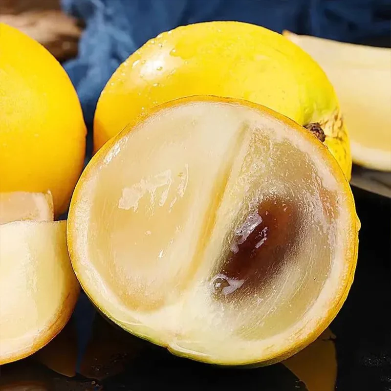 Golden Fruit Seeds Abiu Fruit Pouteria Caimito - Image 6