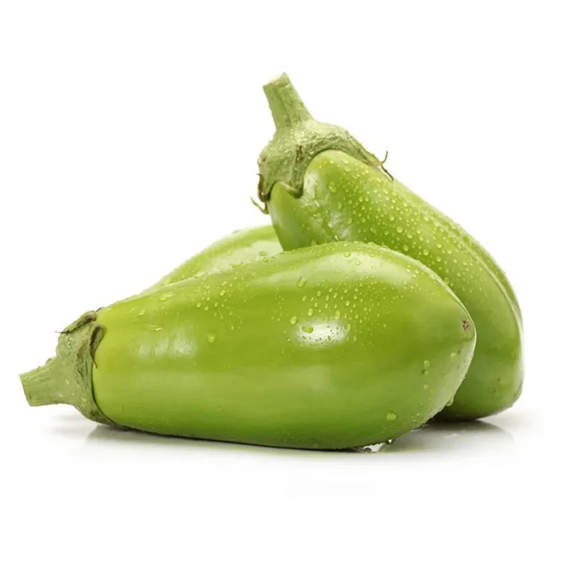 Green Can Eggplant Seeds - Image 8