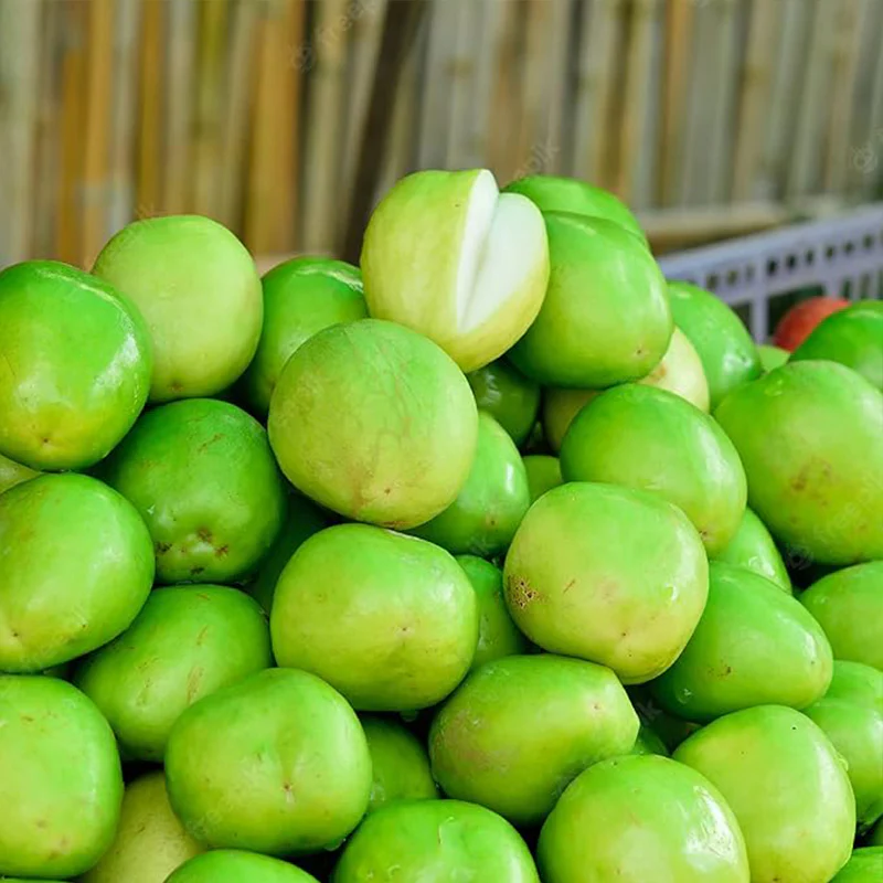 Green Giant Sweet Jujube Fruit Apple Jujube - Image 5