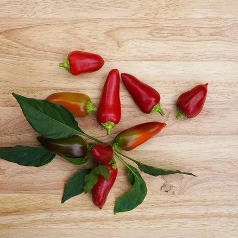 Hot Pepper Seeds - Image 3