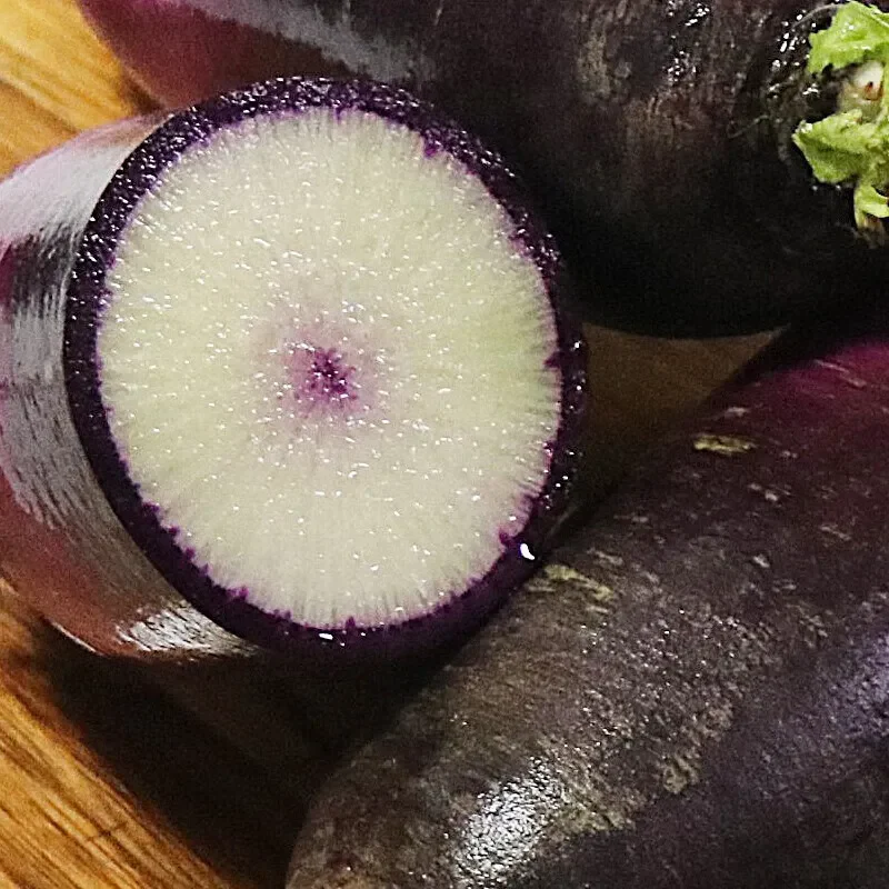 Ice Cream Radish Seeds - Image 5